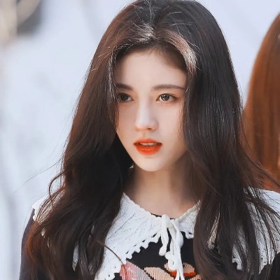 龟女士的奥德赛